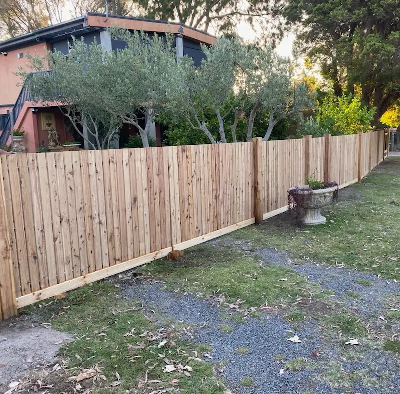 paling fence unpainted