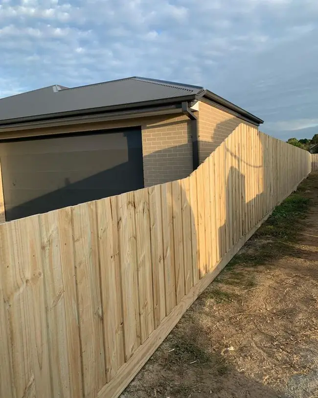 Paling fence side persective